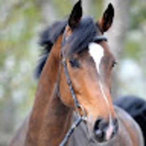 Meet your Posher, Christal